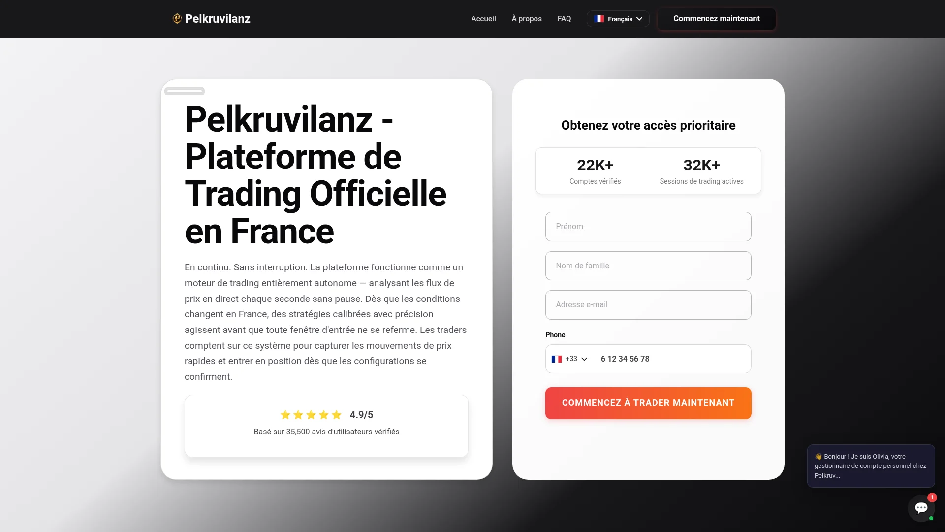 Capture de la page d'accueil de pelkruvilanz.com le 25 août 2026
